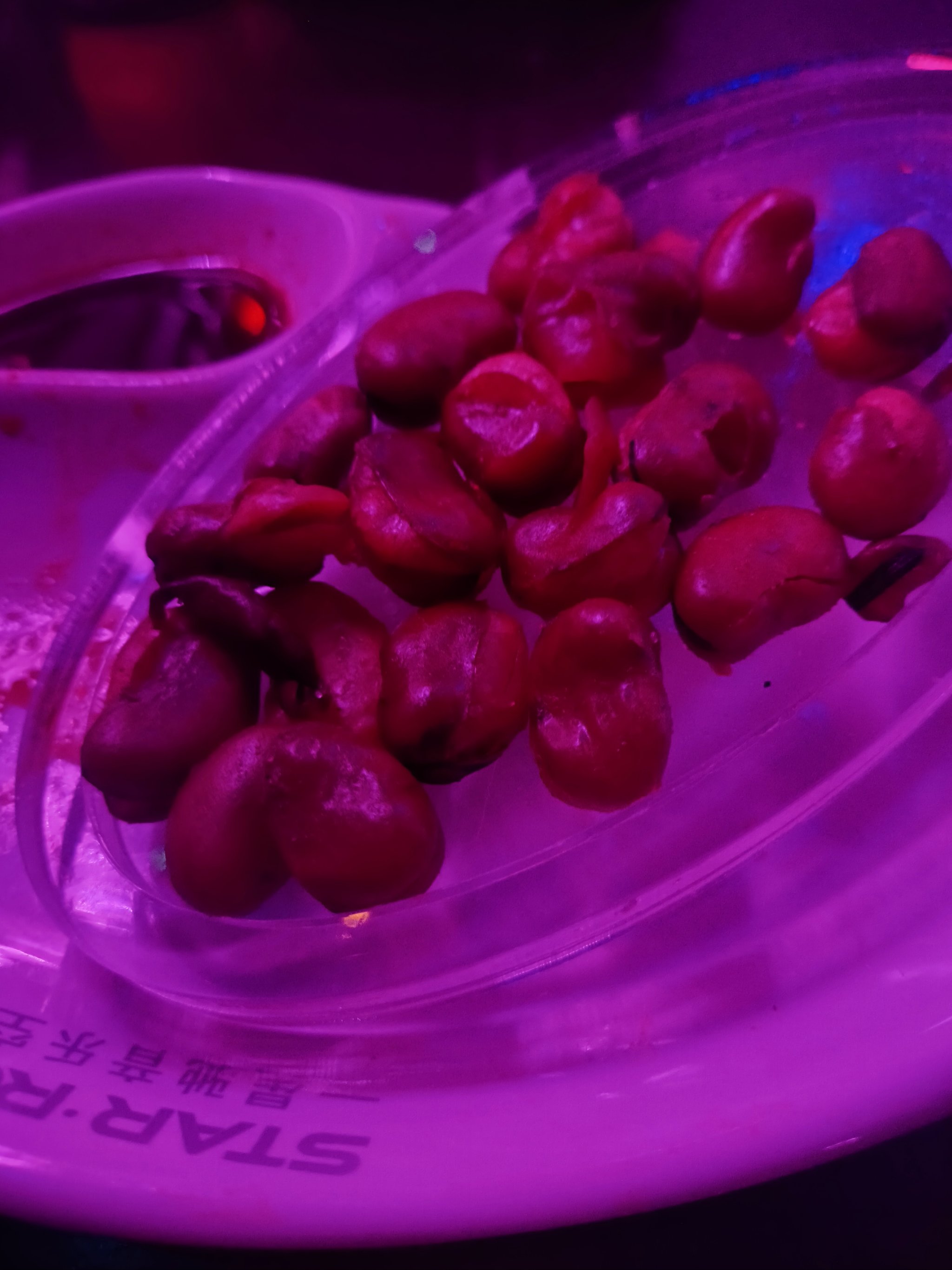 呼伦贝尔商务ktv推荐及商务ktv有哪些-海拉尔区ktv预定